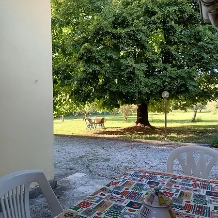 Happy Garden * Capannori